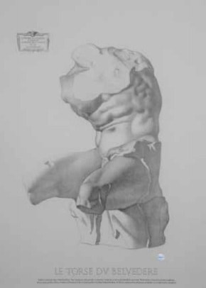 The Belvedere Torso