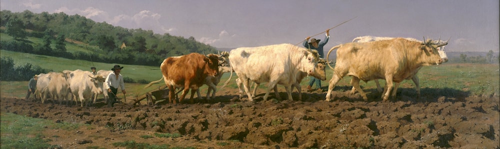Rosa Bonheur - 32 artworks - Art Renewal Center