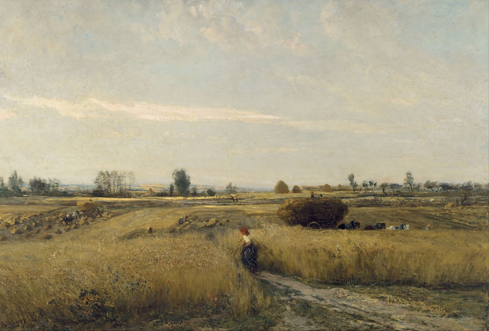 Gravure Originale XIXe Daubigny - Eau-forte 'Le Marais Aux Cigognes' - Alsace