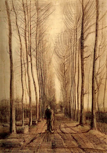 Avenue of Poplars