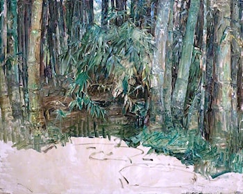 A Bamboo Forest, Ceylon