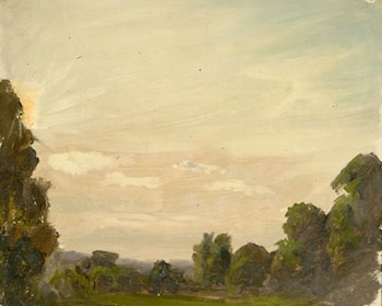 Dark Trees and Light Sky