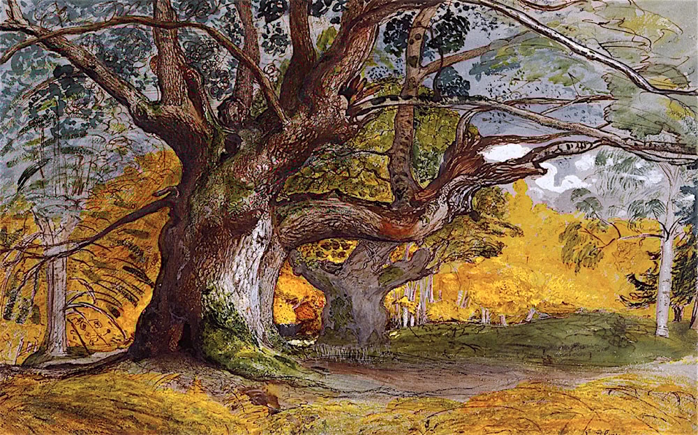 Oak Trees, Lullingstone Park by Samuel Palmer Art Renewal Center