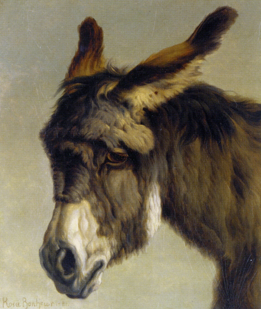 ARC / Artwork / Head of a Donkey by Rosa Bonheur