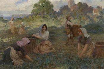 Agricultural Workers Gathering Woad